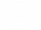 dalstons logo