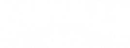 dr wills logo white