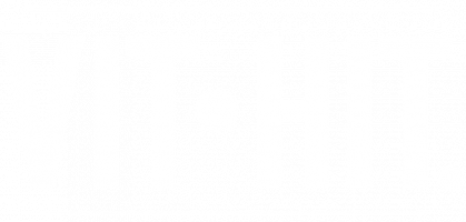 vithit logo white